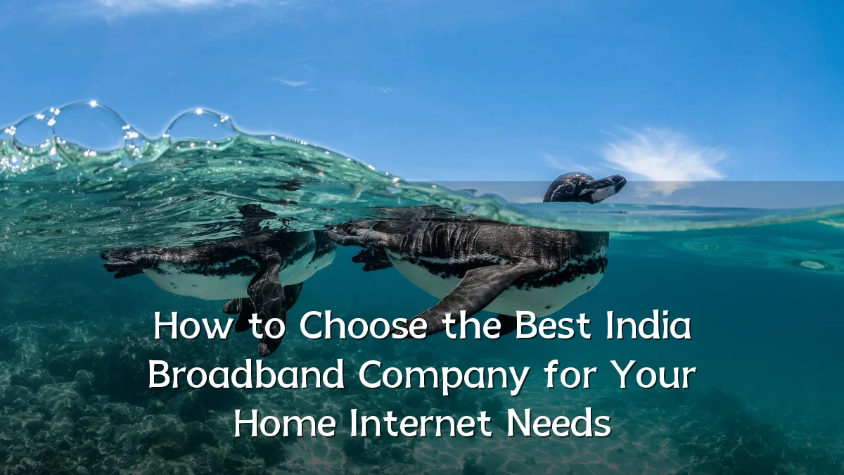 How to Choose the Best India Broadband Company for Your Home Internet Needs