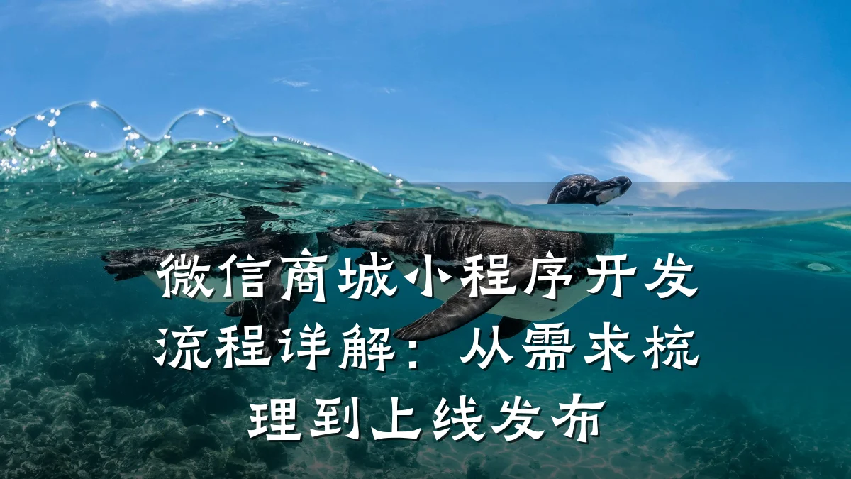 微信商城小程序开发流程详解：从需求梳理到上线发布