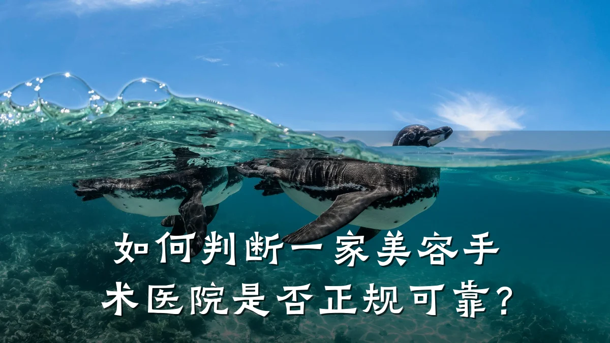 如何判断一家美容手术医院是否正规可靠？