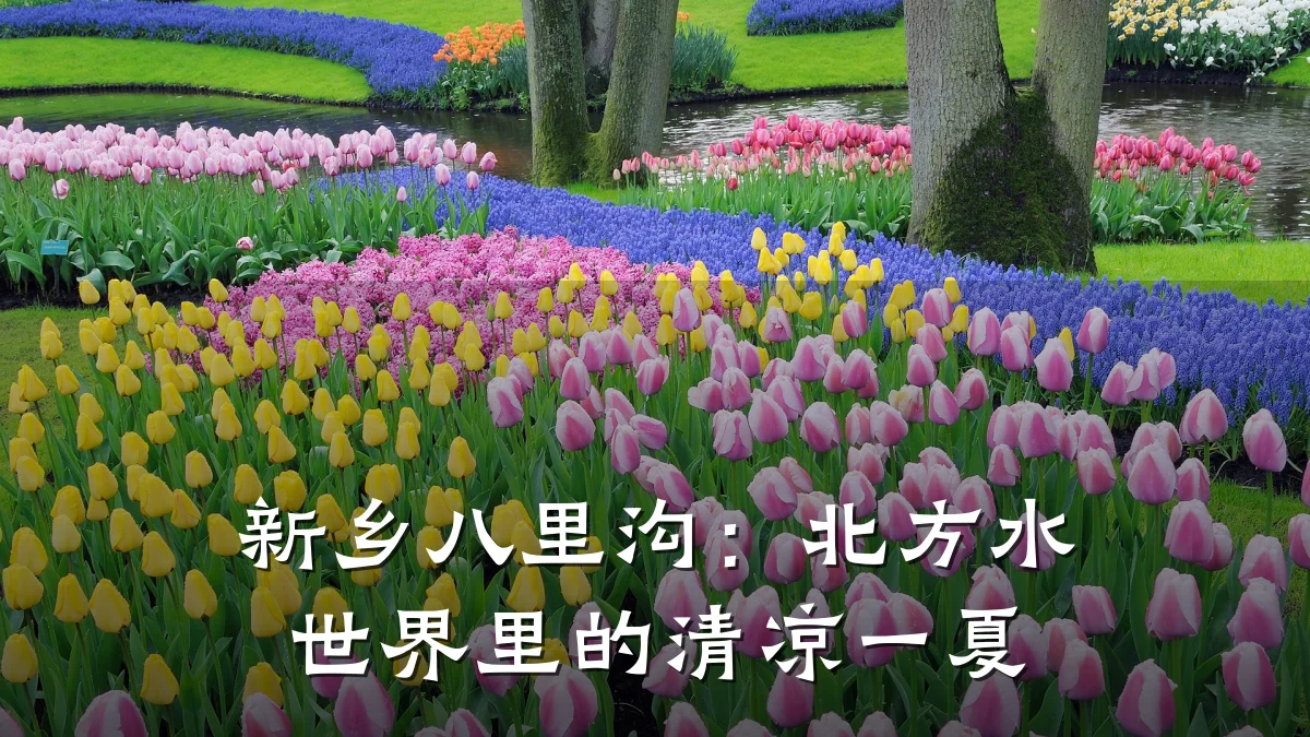 新乡八里沟:北方水世界里的清凉一夏