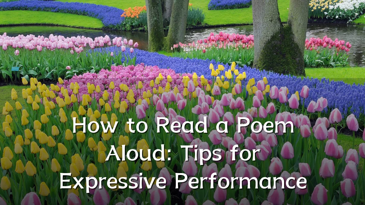 How to Read a Poem Aloud: Tips for Expressive Performance