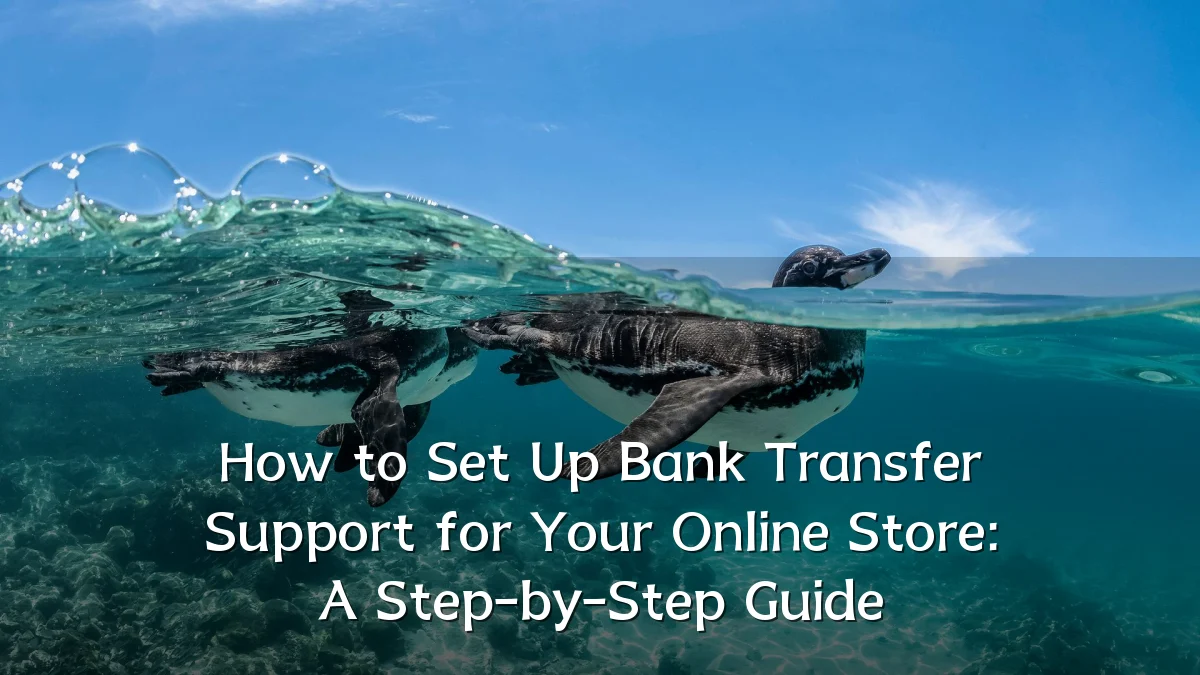 How to Set Up Bank Transfer Support for Your Online Store: A Step-by-Step Guide
