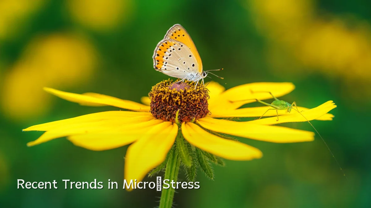 Recent Trends in Micro‑Stress