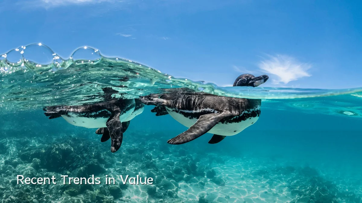 Recent Trends in Value