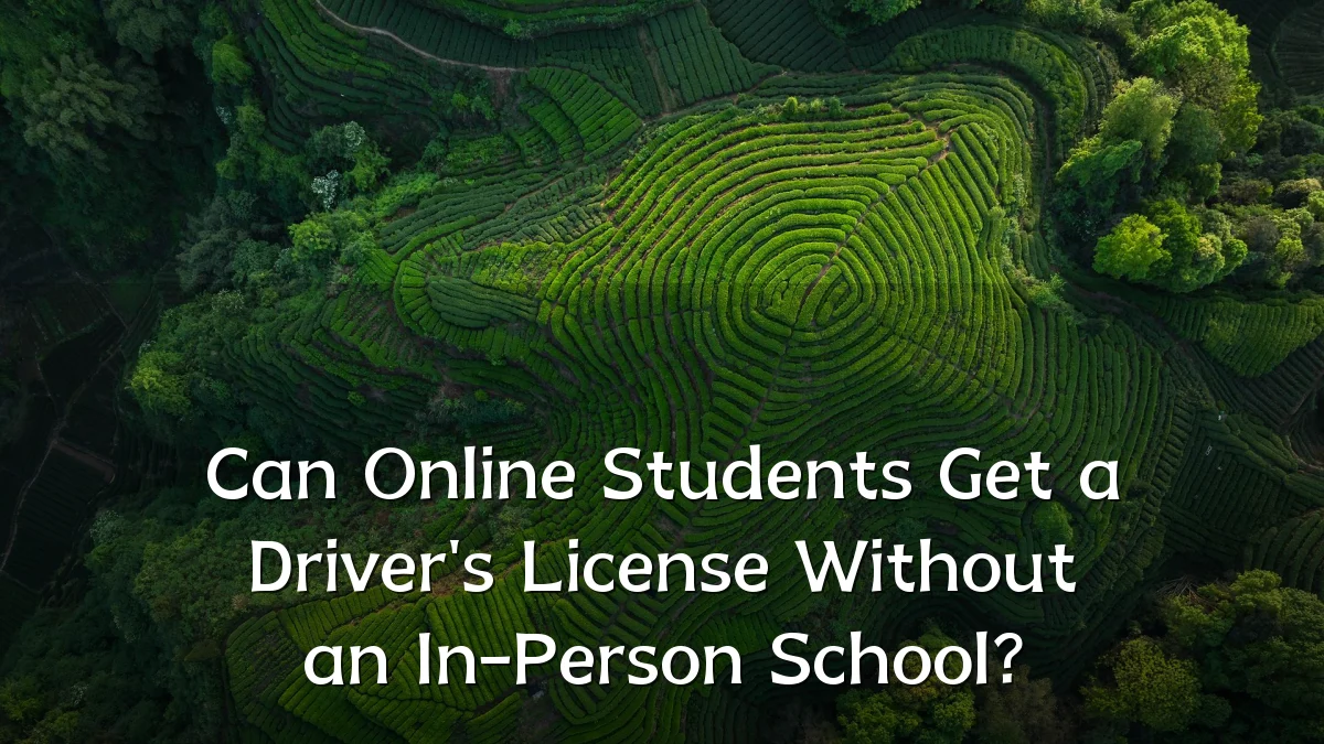 Can Online Students Get a Driver's License Without an In-Person School?