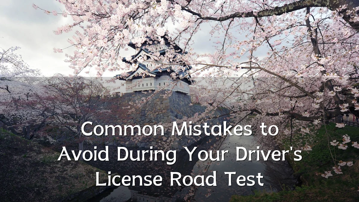 Common Mistakes to Avoid During Your Driver's License Road Test