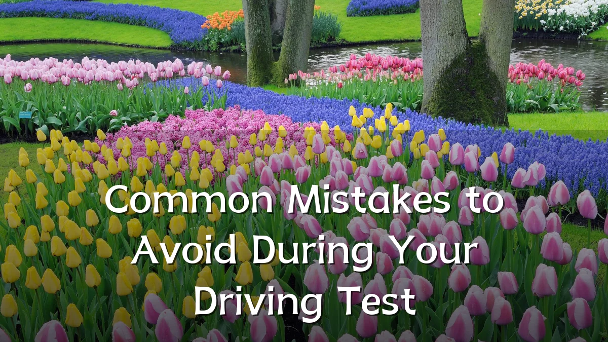 Common Mistakes to Avoid During Your Driving Test