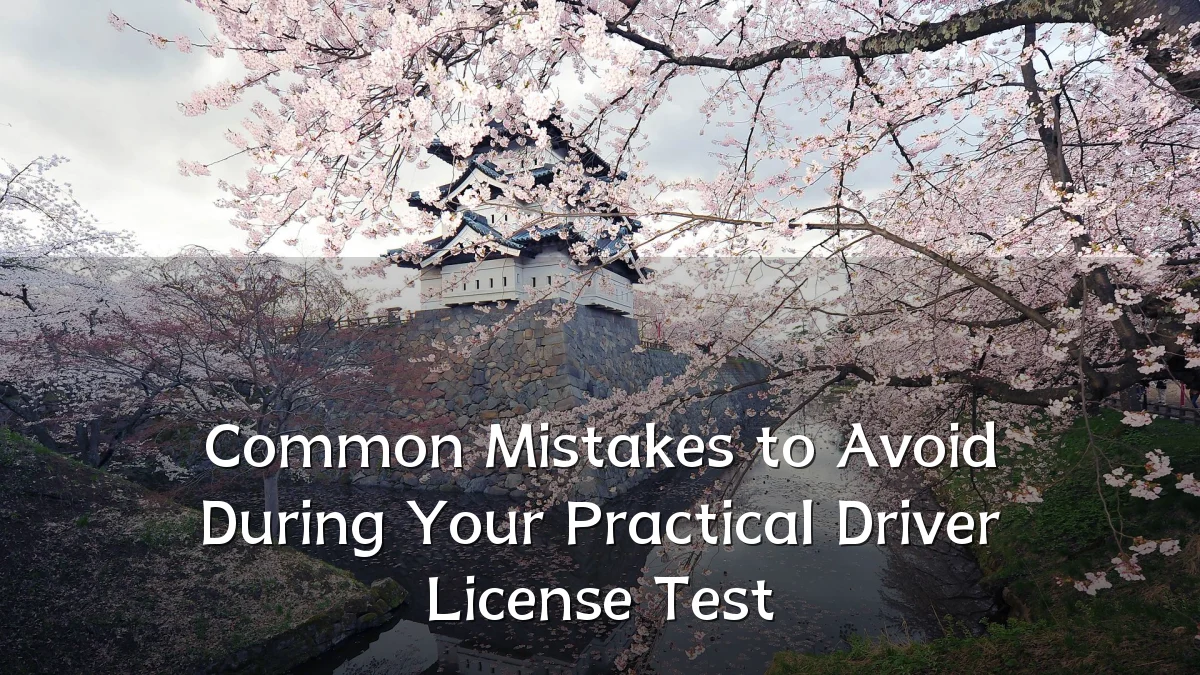 Common Mistakes to Avoid During Your Practical Driver License Test