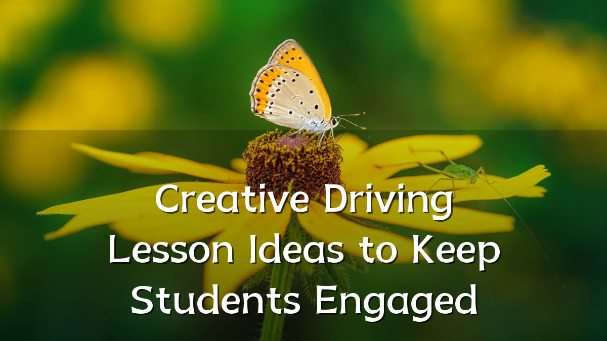 Creative Driving Lesson Ideas to Keep Students Engaged