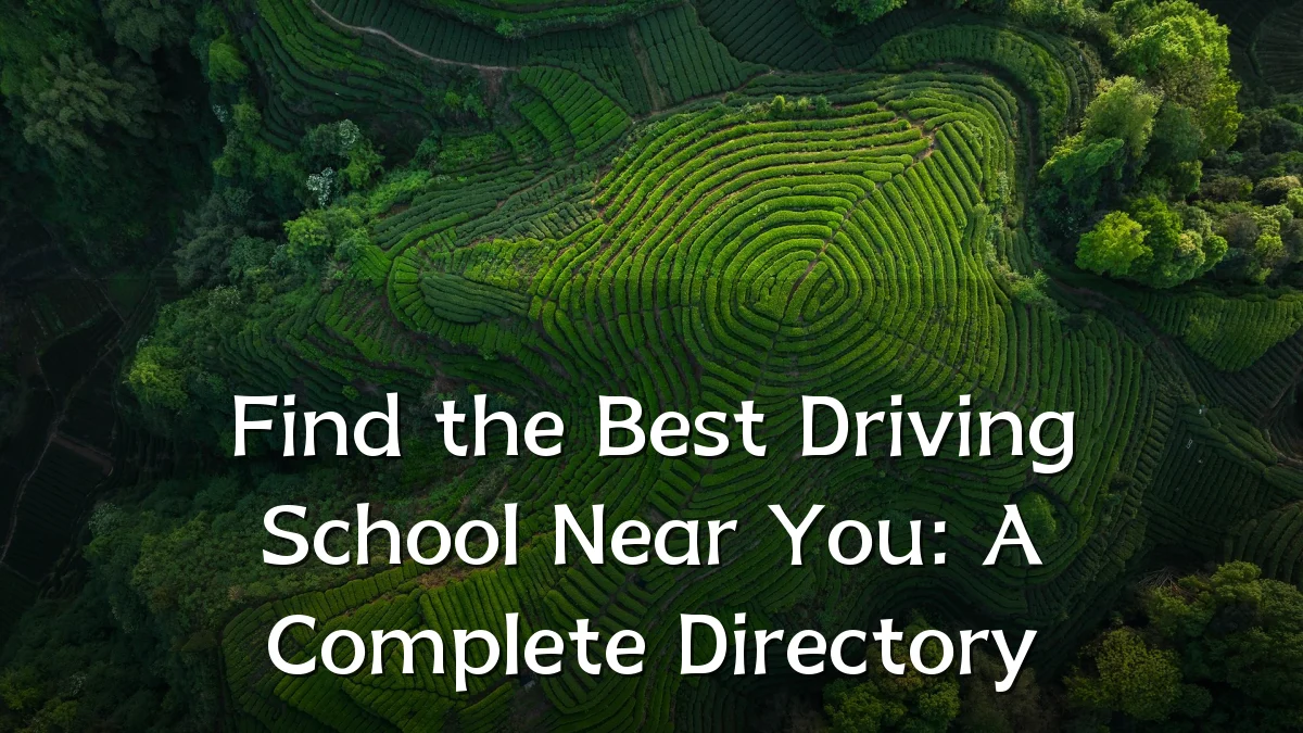 Find the Best Driving School Near You: A Complete Directory