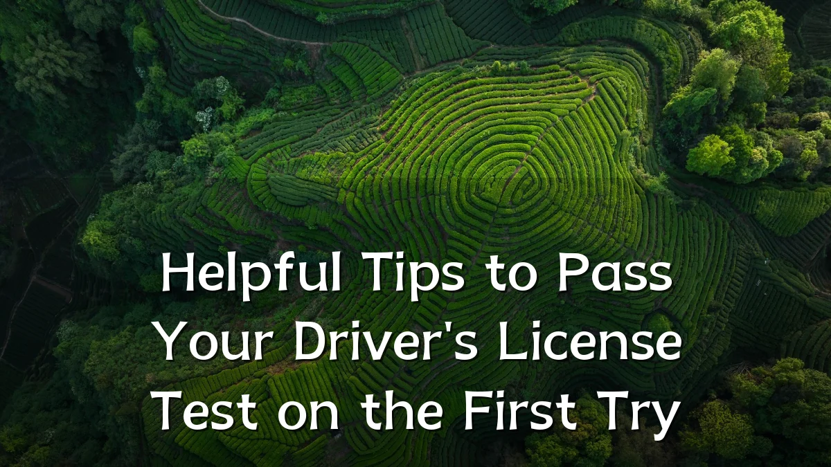 Helpful Tips to Pass Your Driver's License Test on the First Try