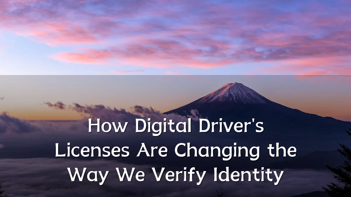 How Digital Driver's Licenses Are Changing the Way We Verify Identity