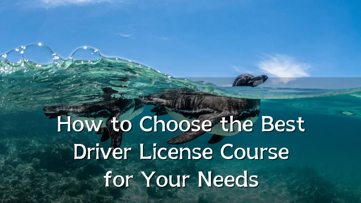 How to Choose the Best Driver License Course for Your Needs