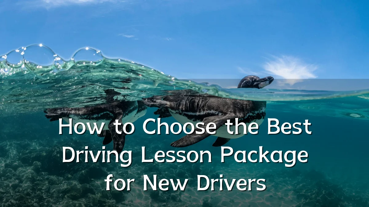 How to Choose the Best Driving Lesson Package for New Drivers