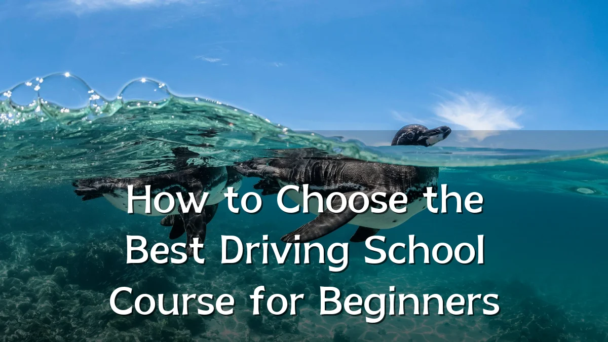 How to Choose the Best Driving School Course for Beginners