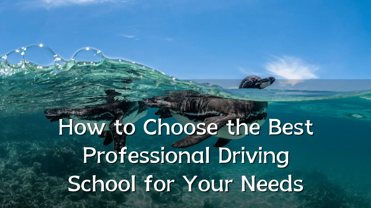 How to Choose the Best Professional Driving School for Your Needs