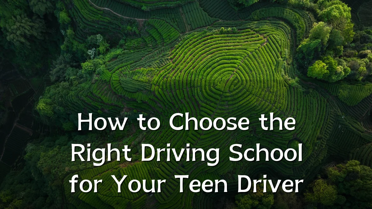 How to Choose the Right Driving School for Your Teen Driver