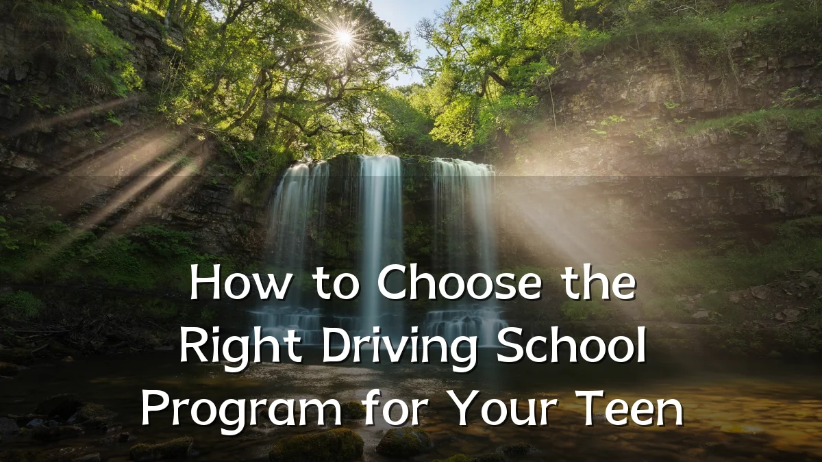 How to Choose the Right Driving School Program for Your Teen