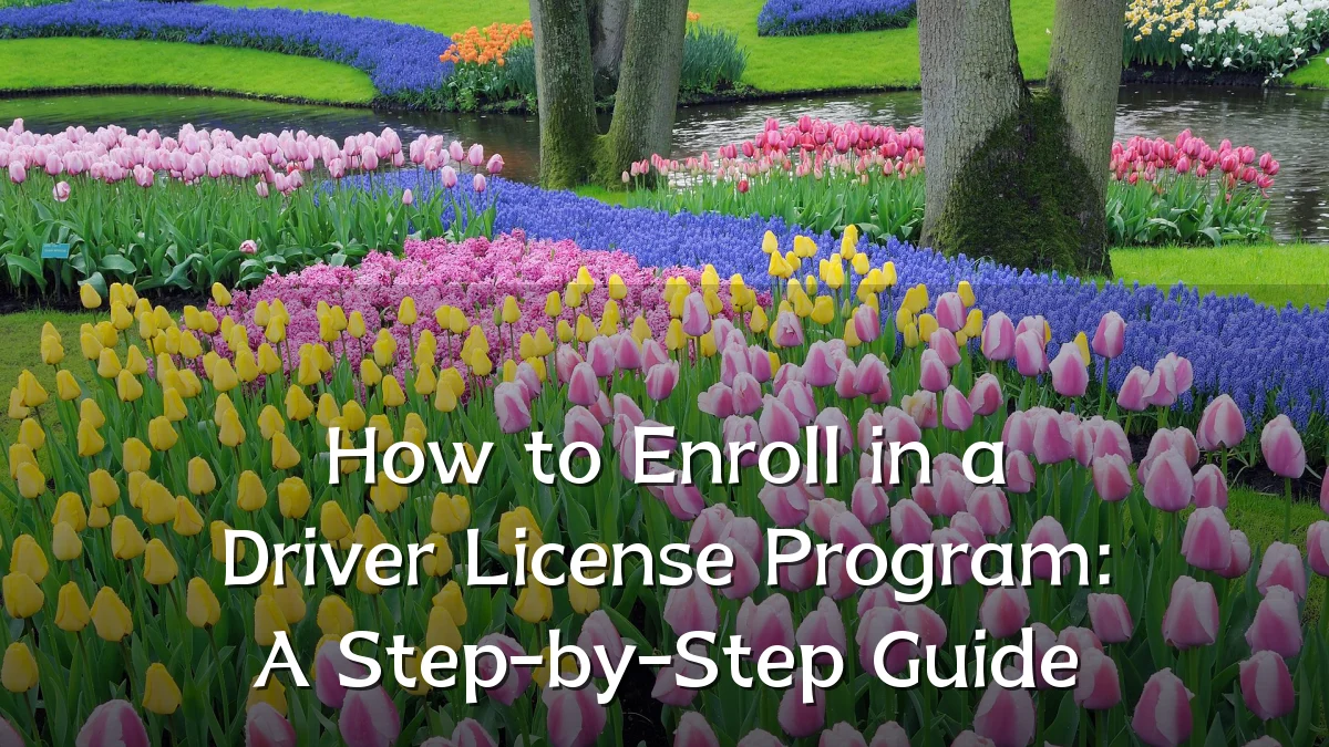 How to Enroll in a Driver License Program: A Step-by-Step Guide