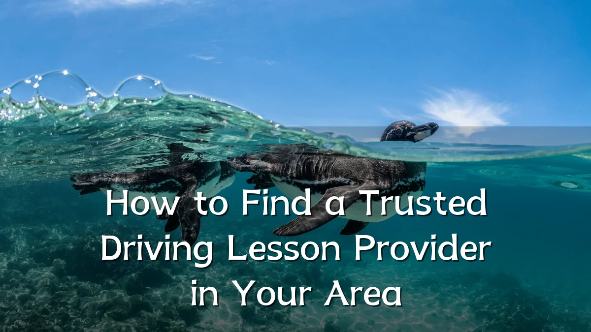 How to Find a Trusted Driving Lesson Provider in Your Area
