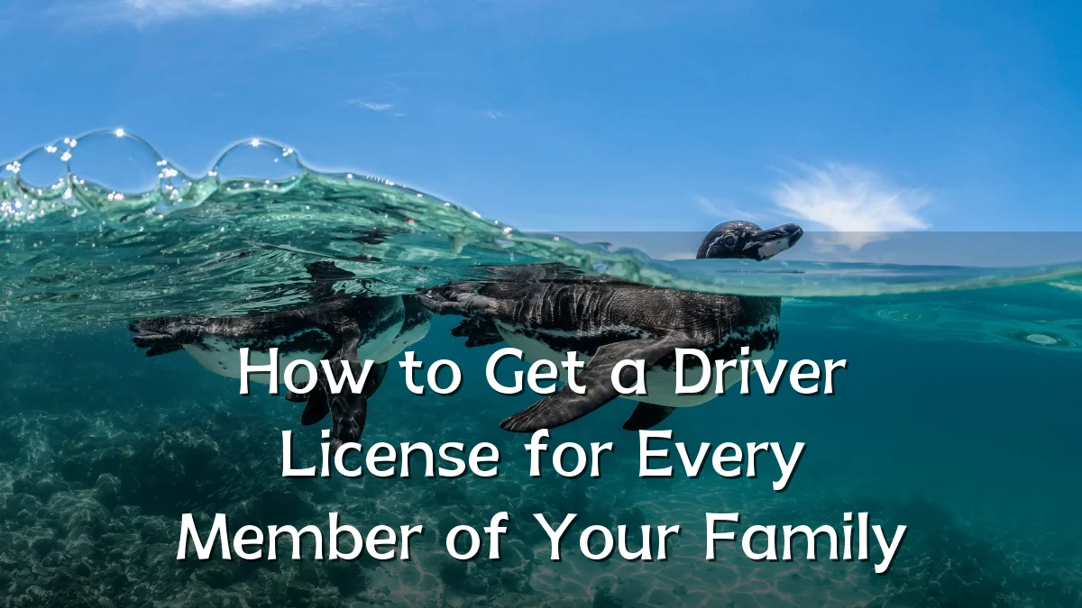 How to Get a Driver License for Every Member of Your Family