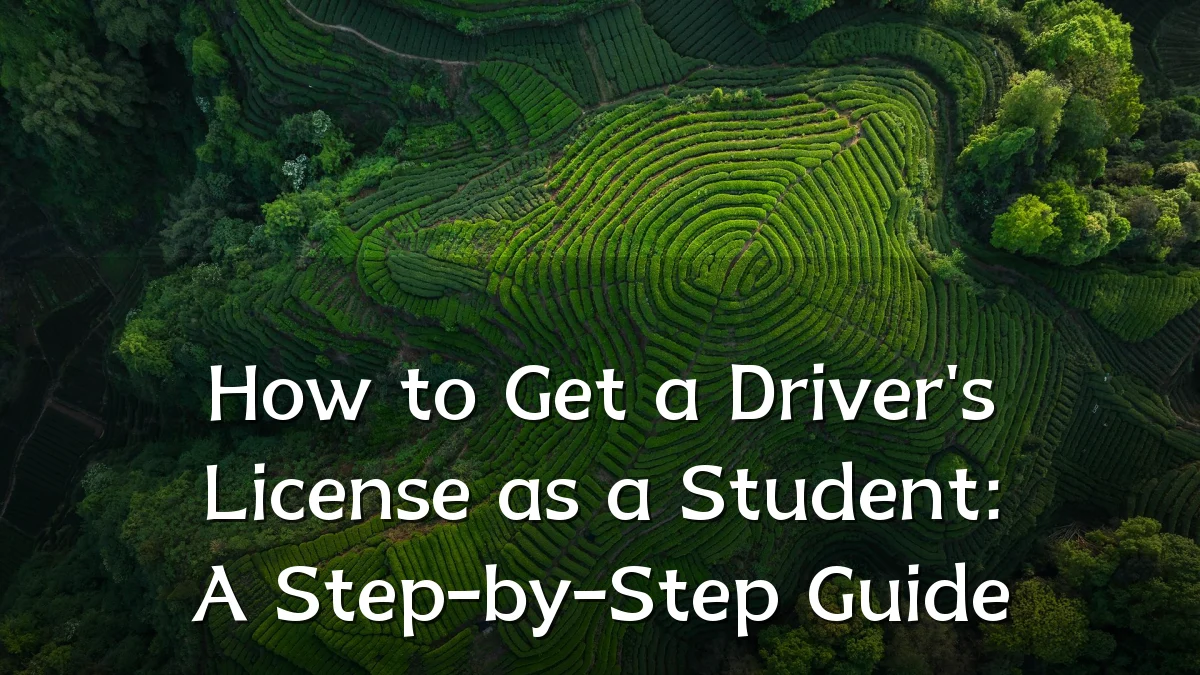 How to Get a Driver's License as a Student: A Step-by-Step Guide