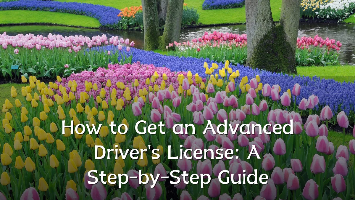 How to Get an Advanced Driver's License: A Step-by-Step Guide