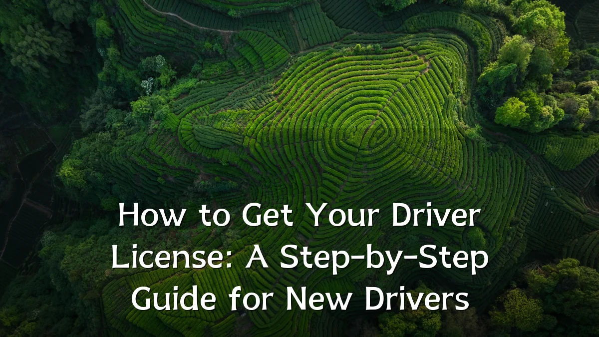 How to Get Your Driver License: A Step-by-Step Guide for New Drivers