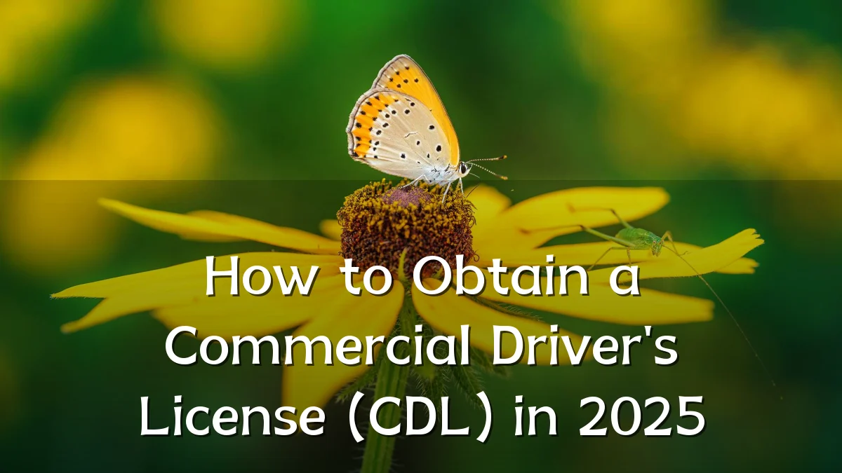 How to Obtain a Commercial Driver's License (CDL) in 2025