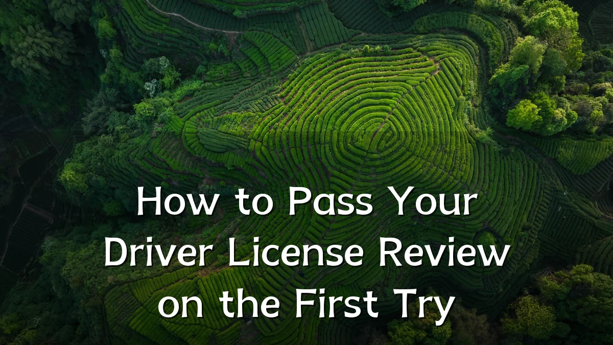 How to Pass Your Driver License Review on the First Try