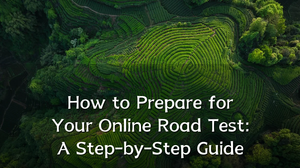 How to Prepare for Your Online Road Test: A Step-by-Step Guide