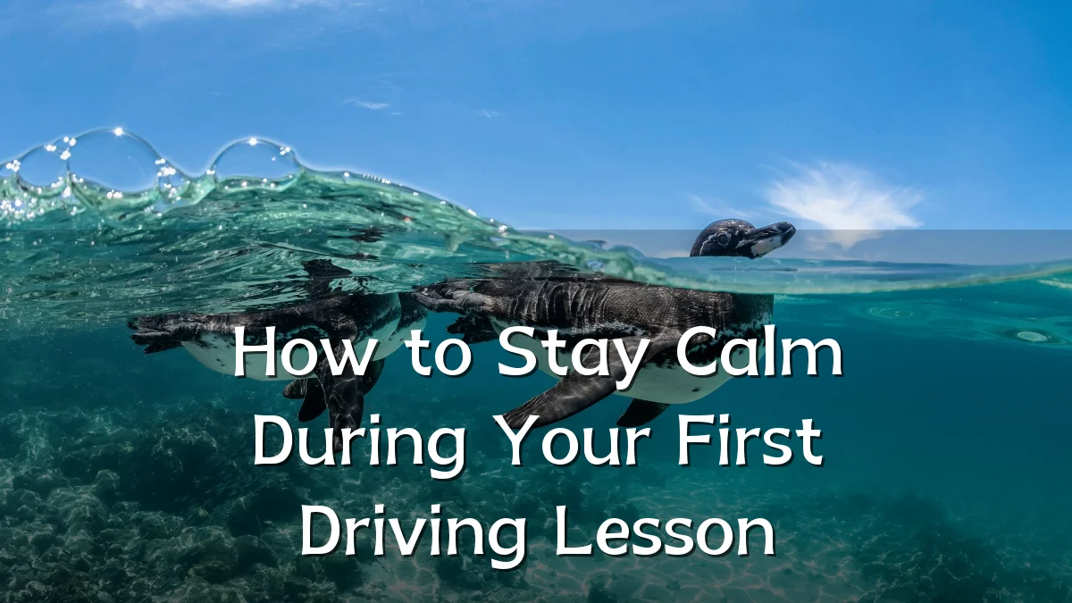 How to Stay Calm During Your First Driving Lesson