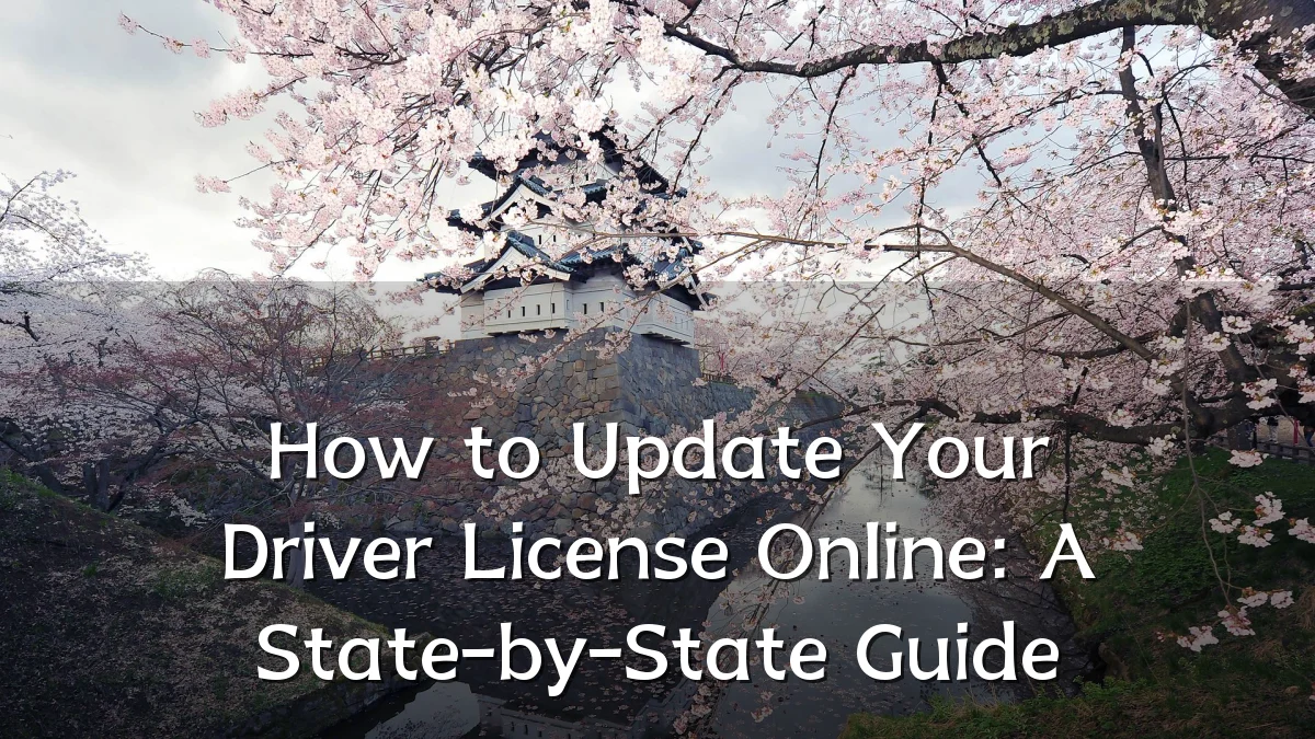 How to Update Your Driver License Online: A State-by-State Guide