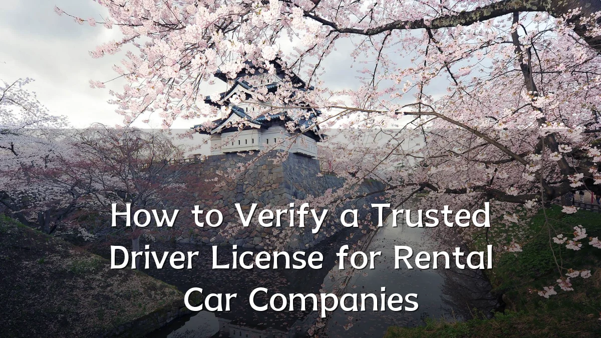 How to Verify a Trusted Driver License for Rental Car Companies
