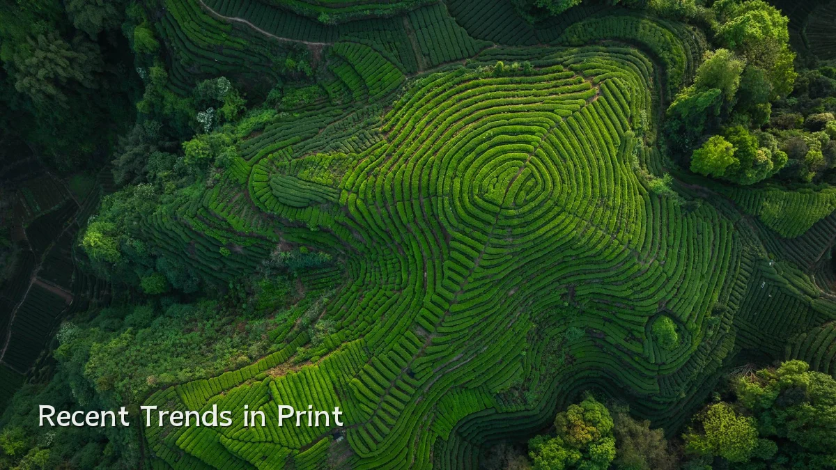 Recent Trends in Print