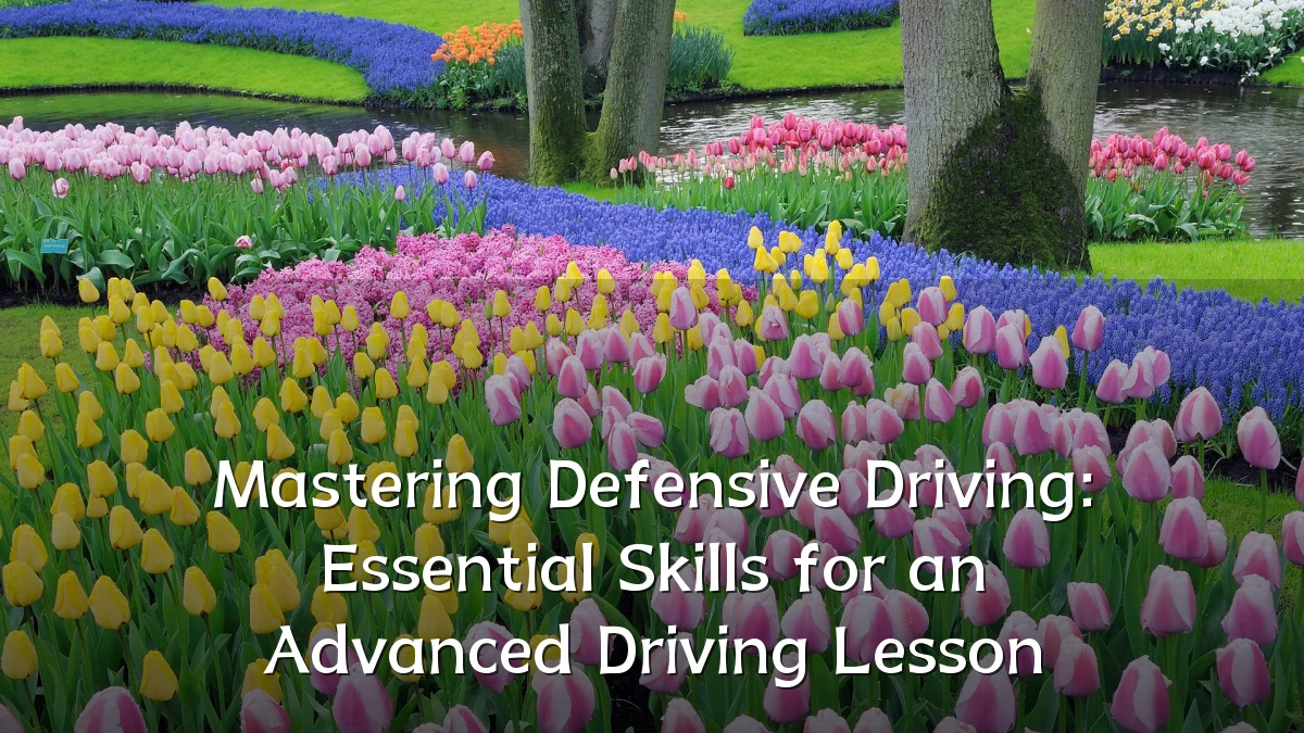 Mastering Defensive Driving: Essential Skills for an Advanced Driving Lesson