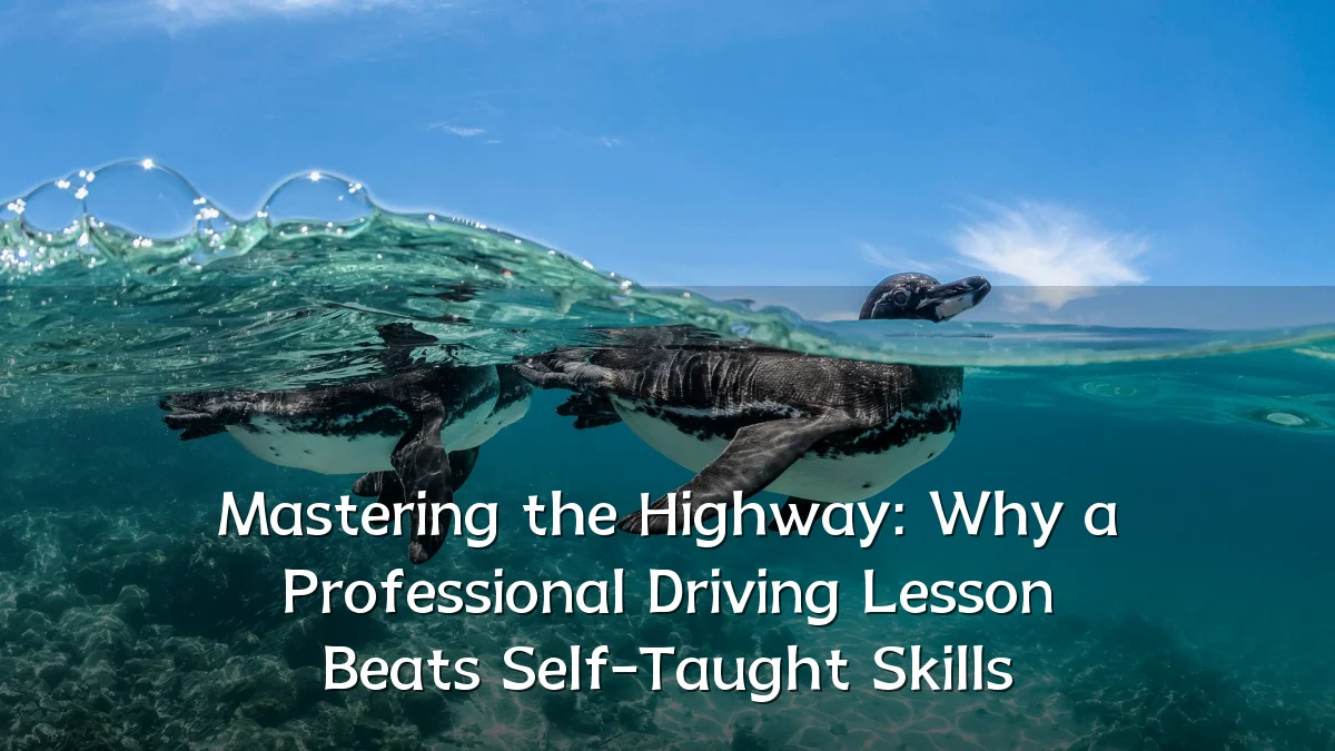 Mastering the Highway: Why a Professional Driving Lesson Beats Self-Taught Skills