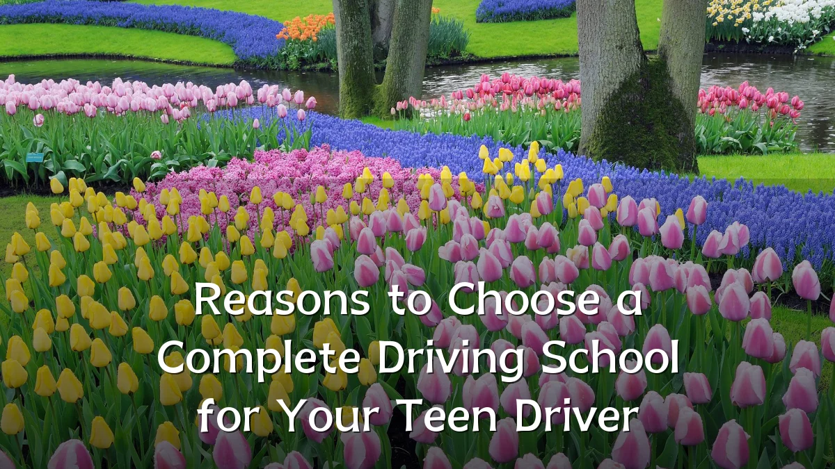 Reasons to Choose a Complete Driving School for Your Teen Driver