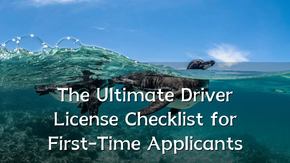 The Ultimate Driver License Checklist for First-Time Applicants