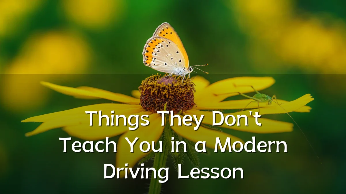 Things They Don't Teach You in a Modern Driving Lesson