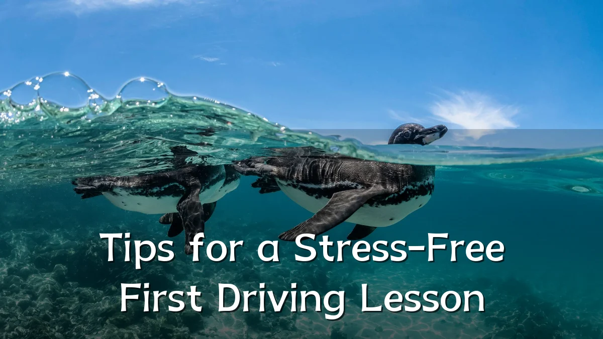 Tips for a Stress-Free First Driving Lesson