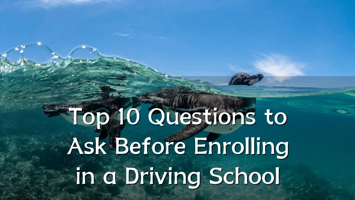 Top 10 Questions to Ask Before Enrolling in a Driving School