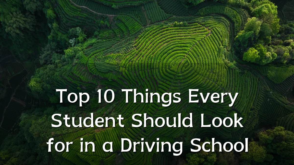 Top 10 Things Every Student Should Look for in a Driving School