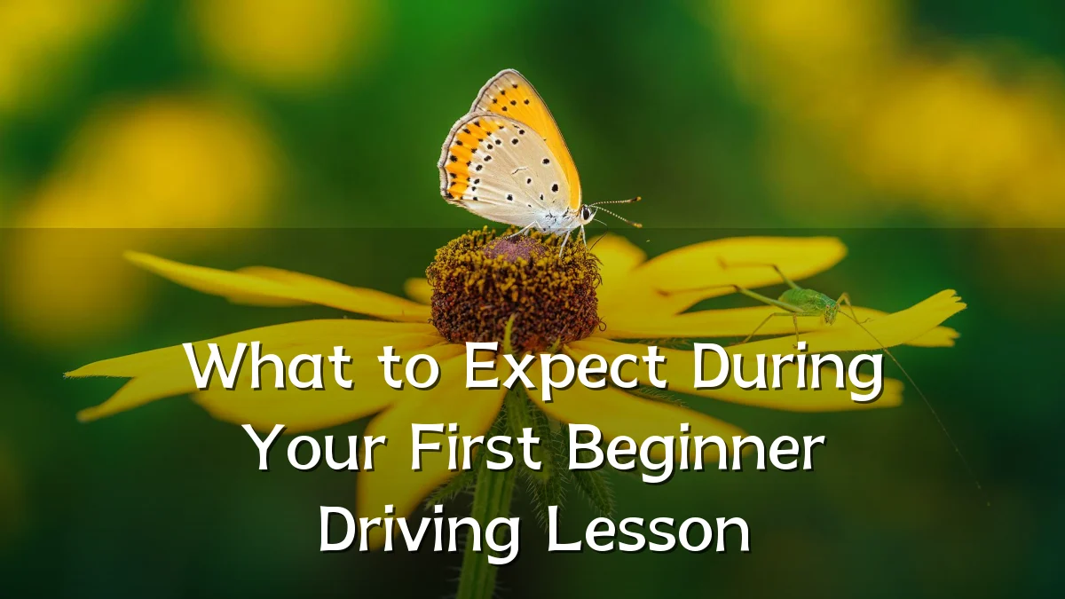 What to Expect During Your First Beginner Driving Lesson