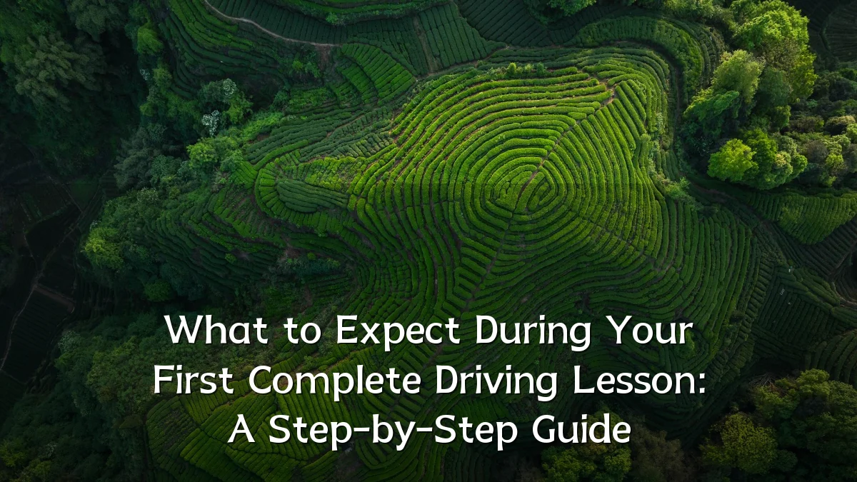 What to Expect During Your First Complete Driving Lesson: A Step-by-Step Guide