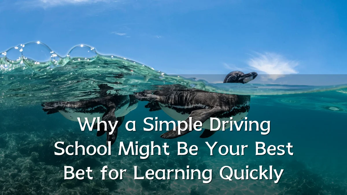 Why a Simple Driving School Might Be Your Best Bet for Learning Quickly