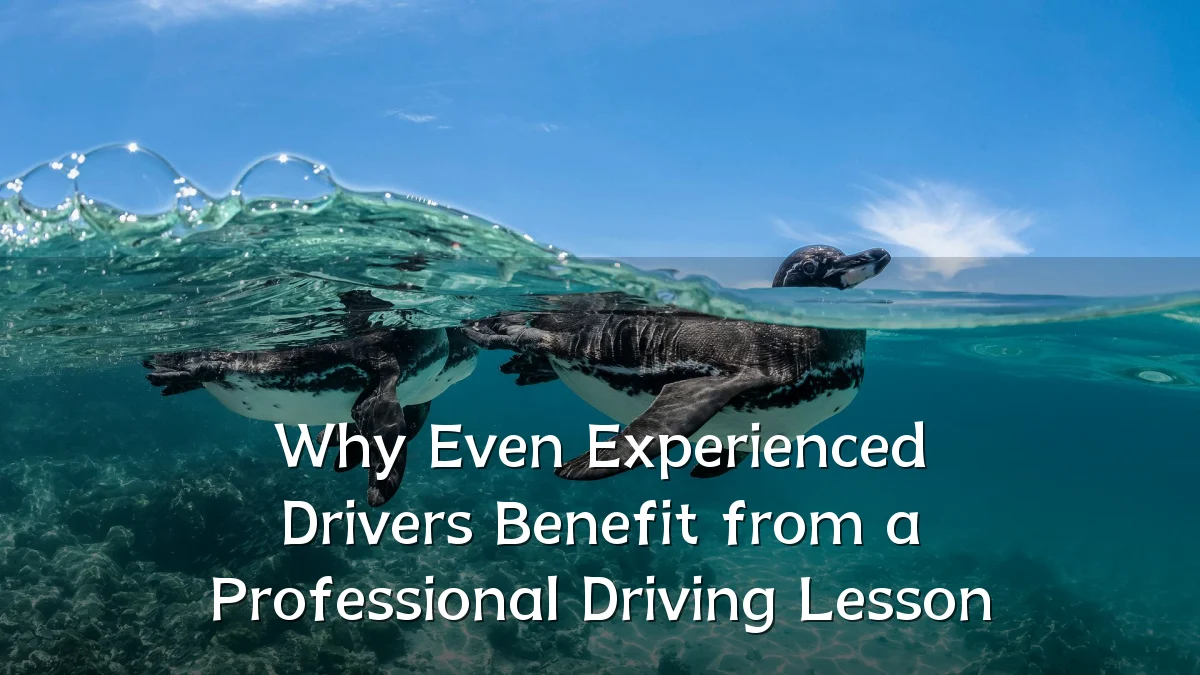 Why Even Experienced Drivers Benefit from a Professional Driving Lesson