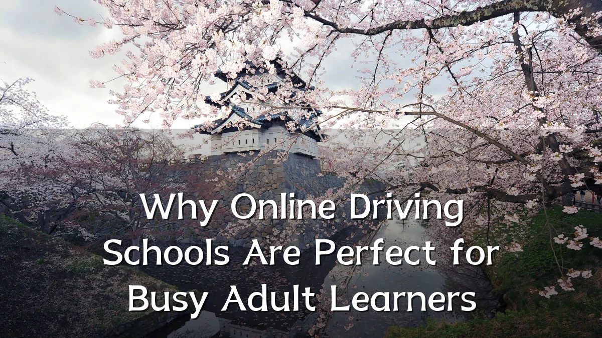 Why Online Driving Schools Are Perfect for Busy Adult Learners