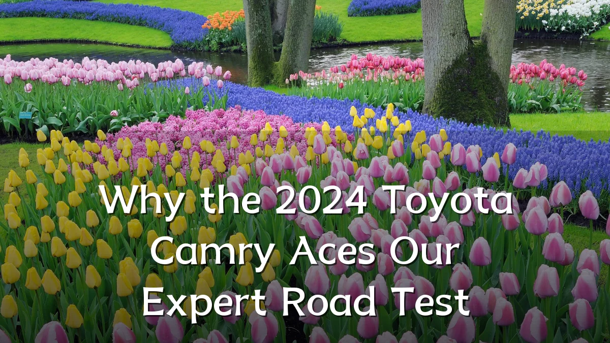 Why the 2024 Toyota Camry Aces Our Expert Road Test