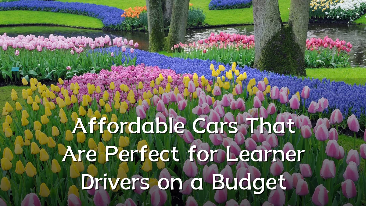Affordable Cars That Are Perfect for Learner Drivers on a Budget